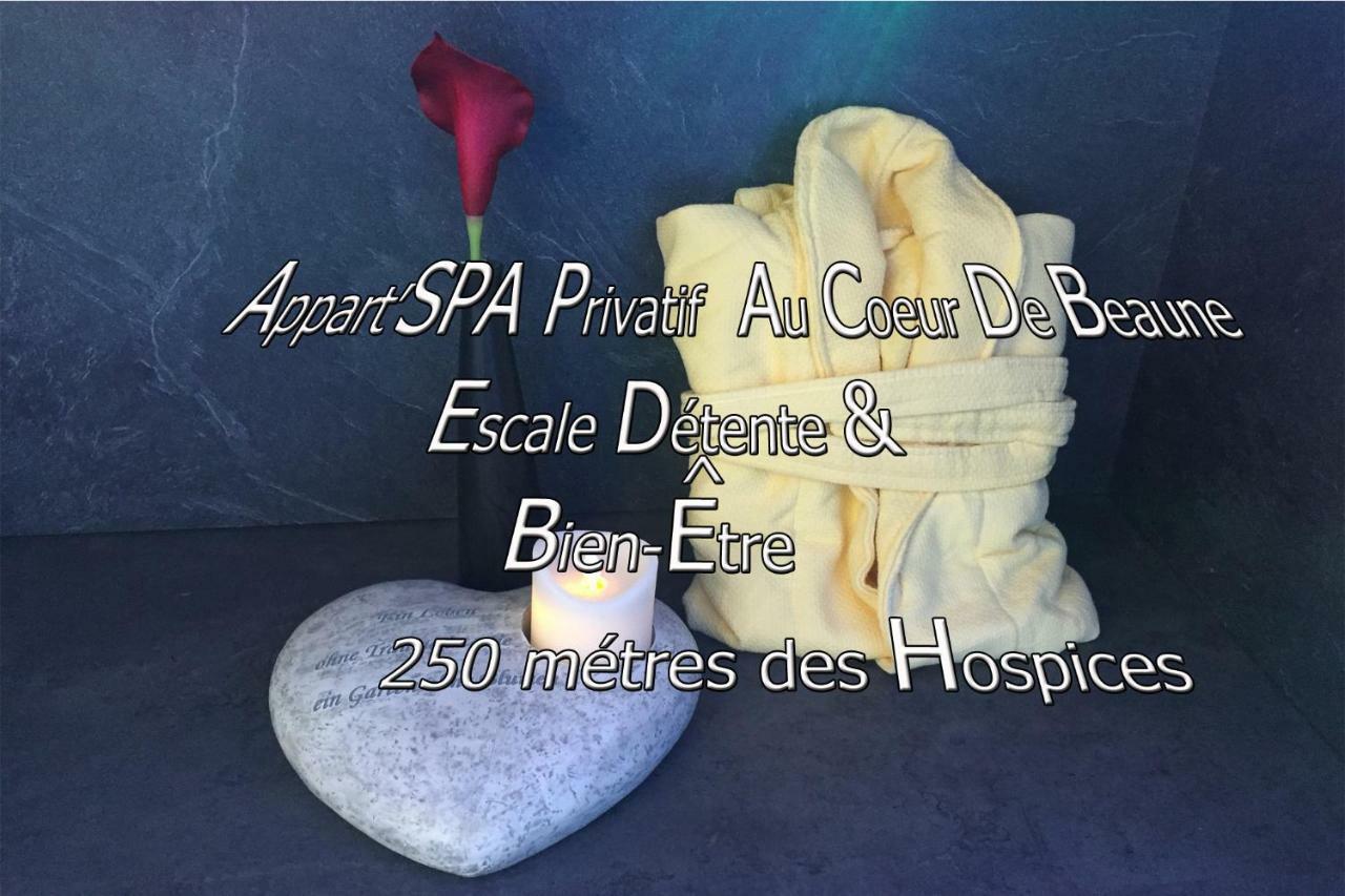 Appart' Spa Et Sauna Privatif Au Coeur De Beaune Beaune (Cote d'Or) Exterior foto
